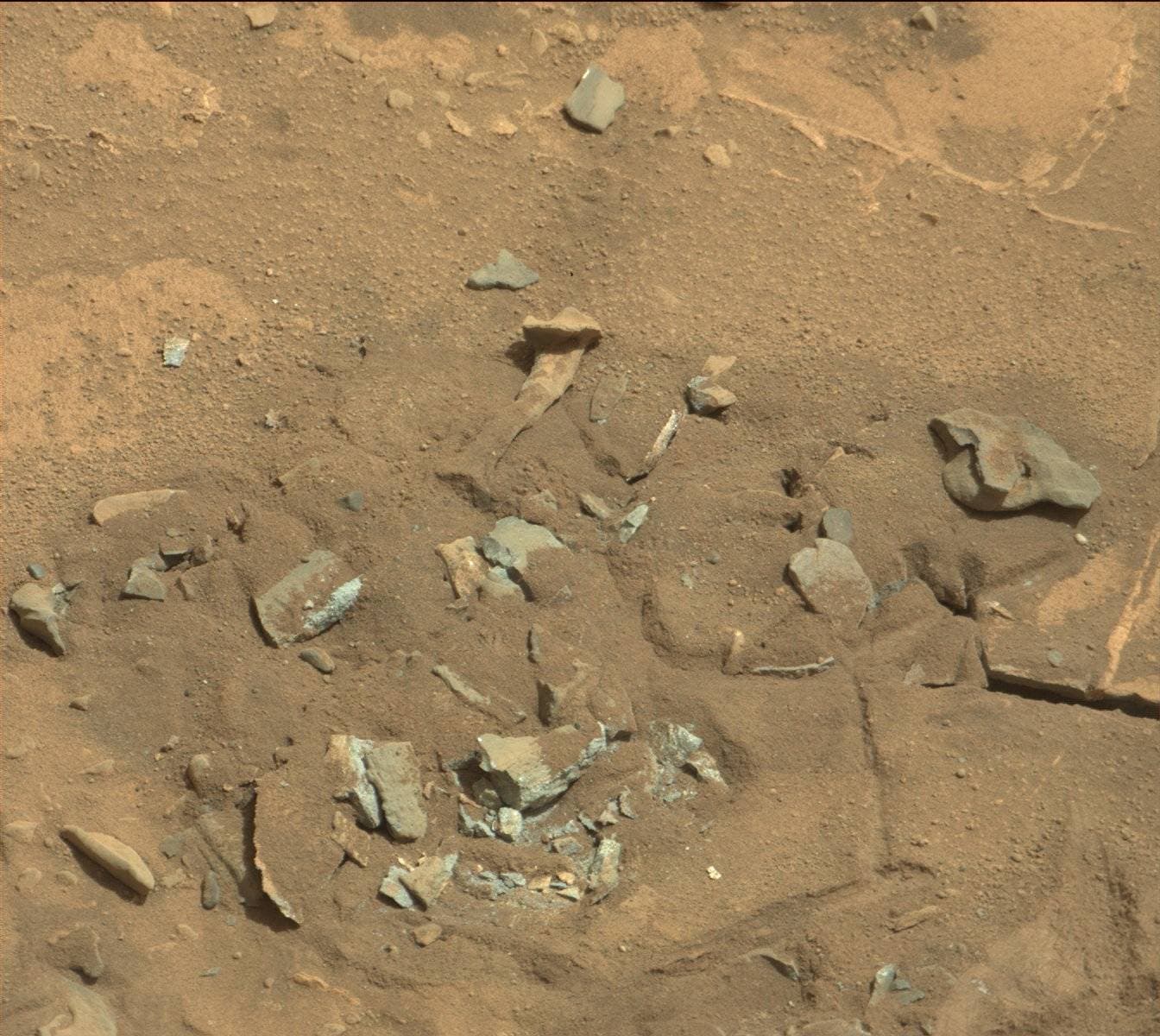 Mars-fossil-thigh-femur-bone-like