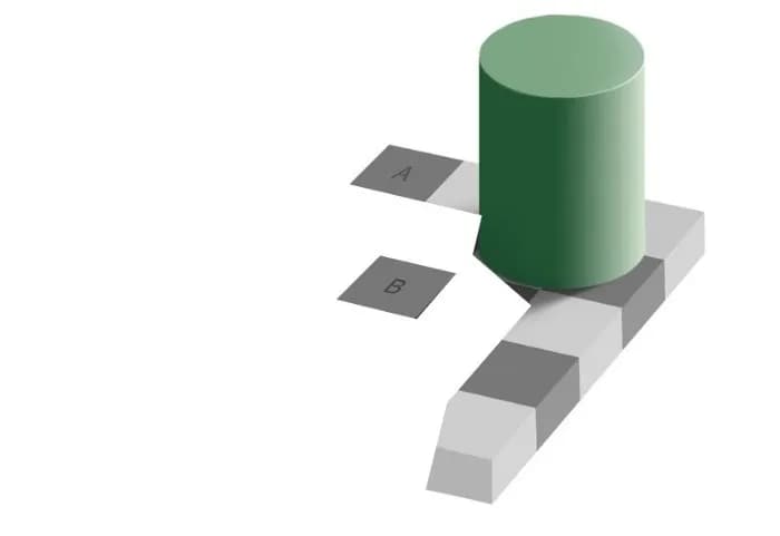 chess mate illusion" class="custom-image-dimensions