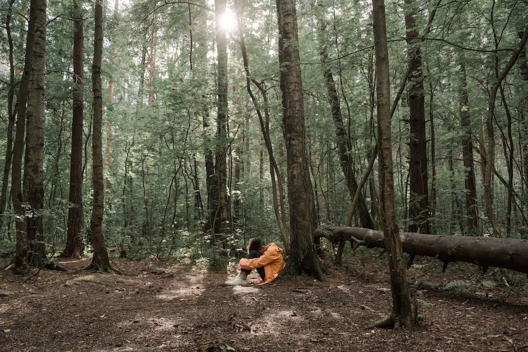 A Kid in Yellow Jacket Sitting under a Tree in the Woods